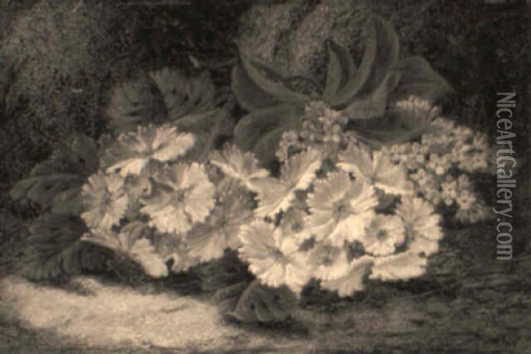 A Still Life With Primroses On A Mossy Bank Oil Painting - Oliver Clare