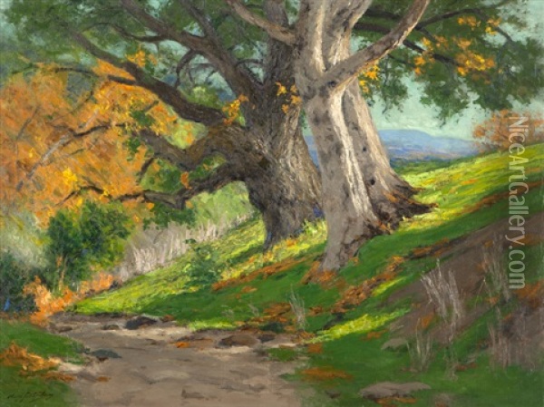 California Autumn (oak & Sycamores), Arroyo Landscape Oil Painting - Charles Partridge Adams