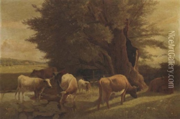 Cattle Watering In A Pond Oil Painting - William Sidney Cooper