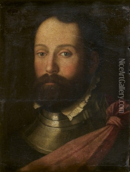 Portrait Du Comte Clement Pietra Oil Painting - Giovanni Cariani