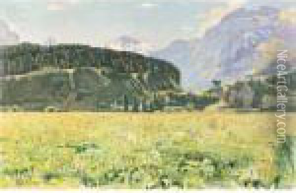 Sommerlandschaft Bei Interlaken Oil Painting - Ferdinand Hodler