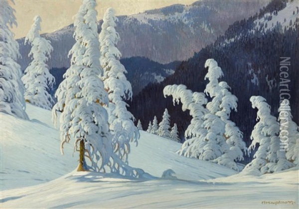 Snow-covered Fir Tree On Feldberg Oil Painting - Karl Hauptmann