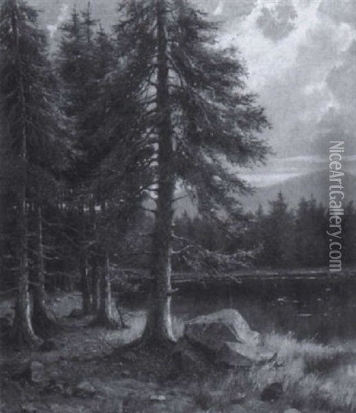 Moorsee Im Wald Oil Painting - Elmar von Eschwege