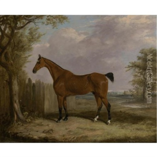A Bay Hunter In A Landscape Oil Painting - John E. Ferneley