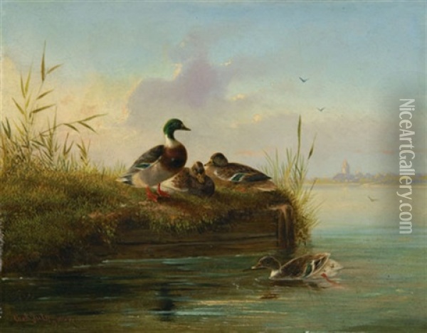 Enten Am Seeufer Oil Painting - Carl Jutz the Elder