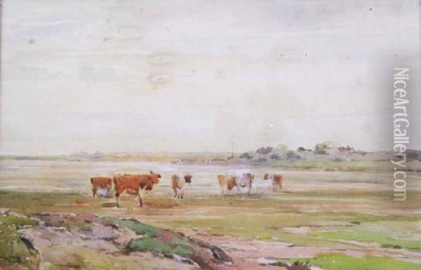 Cattle In An Estuary Oil Painting - Claude Hayes