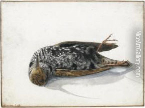 A Dead Starling Oil Painting - Rochus Van Veen