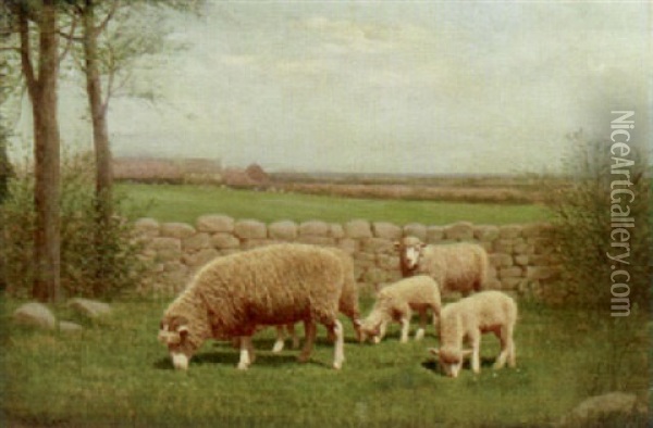 Sheep Grazing Oil Painting - Samuel S. Carr