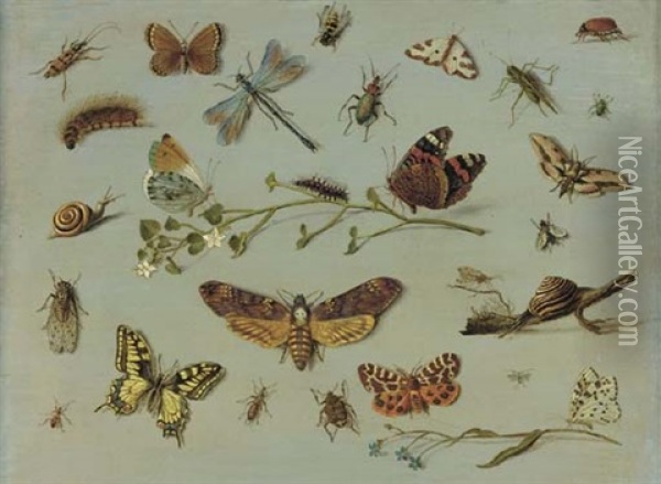 A Death's Head Moth, A Red Admiral, A Caterpillar And An Orange-tip Butterfly On A Sprig Of Jasmine, A Swallowtail Butterfly, A Garden Tiger Moth, A Scarab And Other Insects And Snails Oil Painting - Jan van Kessel the Elder