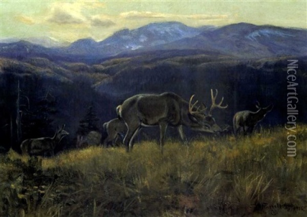 Black Tail Deer - Buffalo Days Oil Painting - Charles Marion Russell