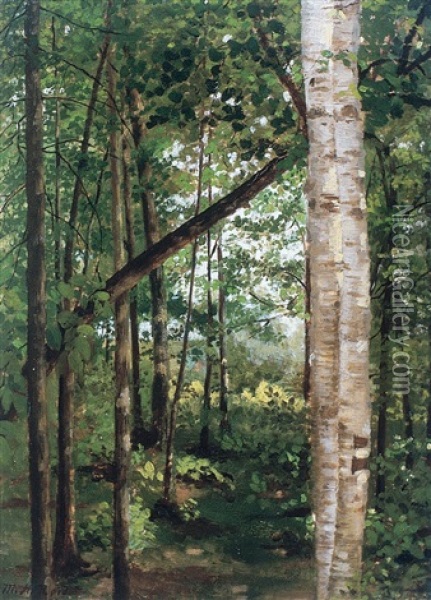 Forest Path Oil Painting - Mary Augusta Hiester Reid