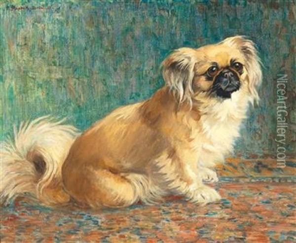 A Pekinese Dog Oil Painting - Ferdinand Schebek