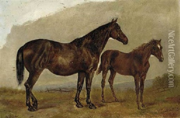 A Mare And Foal In A Field Oil Painting - Henry Frederick Lucas Lucas