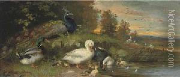 Ducks And A Peacock On The Banks Of A River At Dusk Oil Painting - Julius Scheurer