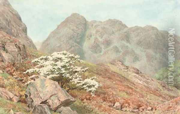 Raven Crag, Yewdale, Coniston Oil Painting - William Gersham Collingwood