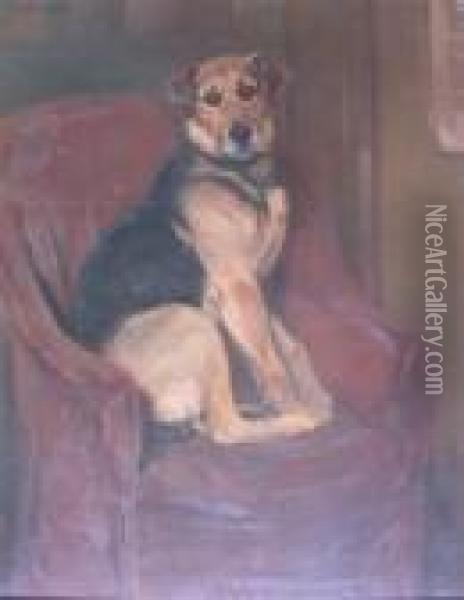 Study Of A Dog Oil Painting - William Walls