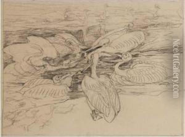 Six Pelicans Fighting Over A Fish Oil Painting - Theodorus Van Hoytema