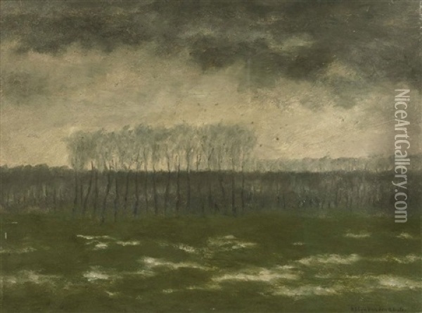 Overstroomde Meersen (high Water At The Meersen Near River The Leie) Oil Painting - Albijn van der Abeele