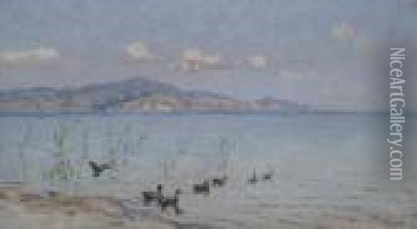 Anatre A Torre Del Lago Oil Painting - Angiolo Tommasi