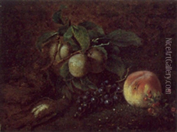 Nature Morte Aux Fruits Oil Painting - Nicolas Amaranthe Rouilliet