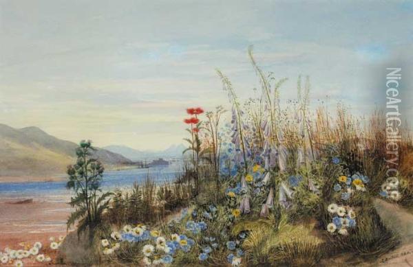 Bank Of Wild Flowers With View Of A Fort,lough And Mountains In The Distance Oil Painting - Andrew Nicholl