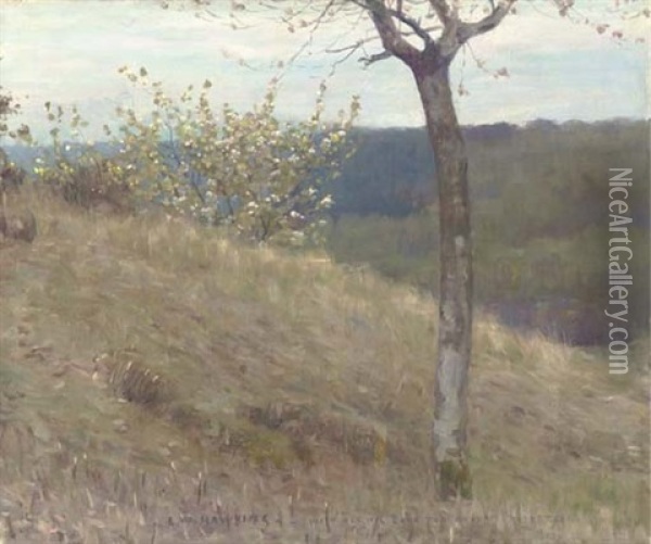 A Landscape With Blossom Oil Painting - Louis Welden Hawkins