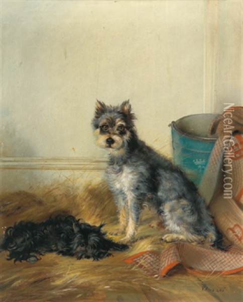 Zwei Hunde (terrier?) Oil Painting - Johann Adam Klein