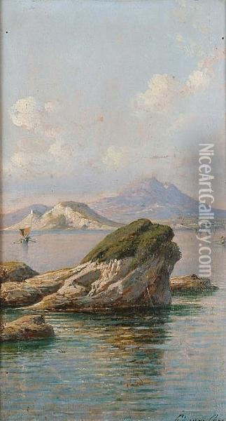 View Of The Bay Of Naples Oil Painting - Giuseppe Carelli