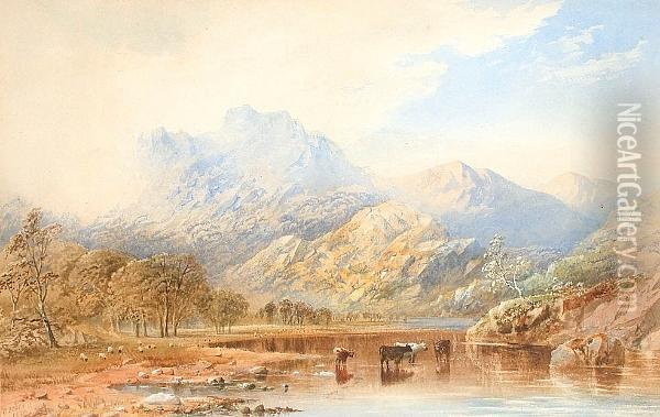 Cattle Watering In A Lakeland Landscape Oil Painting - Cornelius Pearson