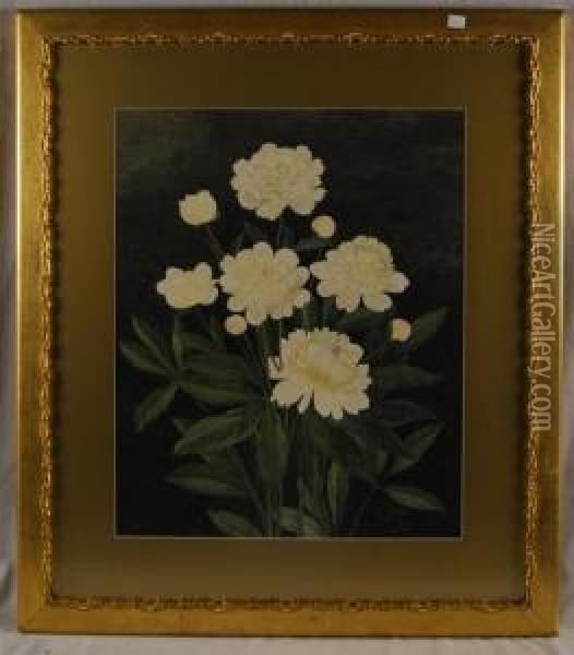 White Peonies Oil Painting - Ellen Robbins