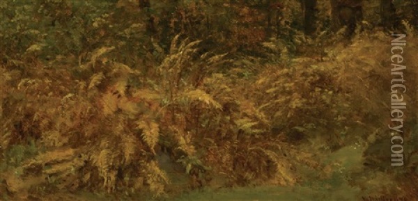 The Catskill Ferns In Autumn Oil Painting - Worthington Whittredge