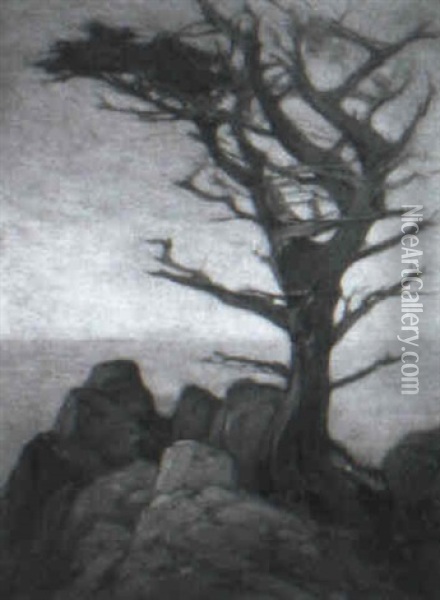 Lone Tree On The Monterey Coast Oil Painting - John Reed Dickinson