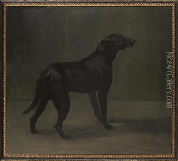 A Black Labrador Oil Painting - Arthur Wardle