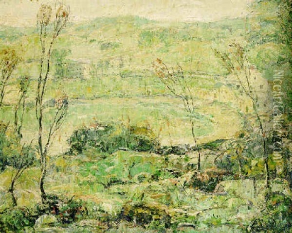 Landscape (untitled) Oil Painting - Ernest Lawson