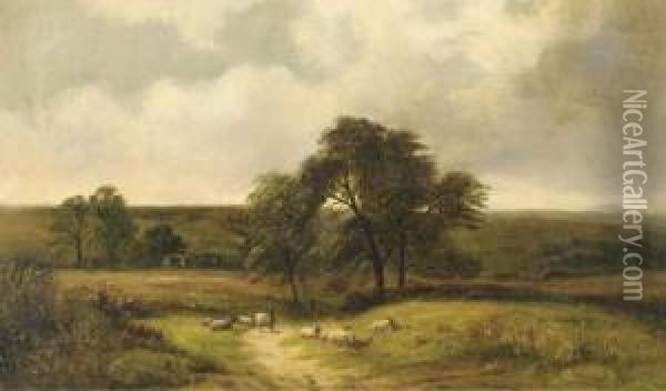 Summer Landscape With Sheep Oil Painting - David Payne