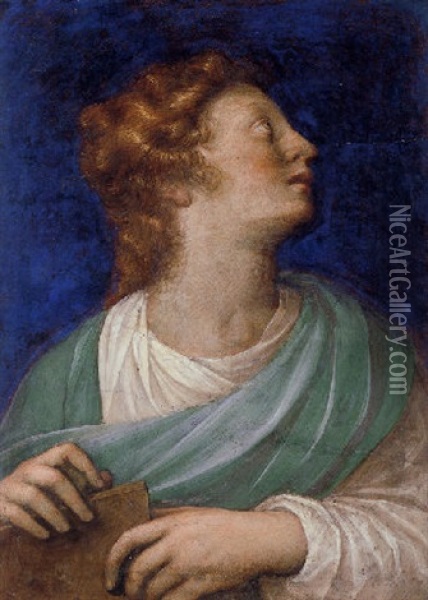 Saint John The Evangelist Oil Painting - Innocenzo di Pietro (da Imola) Francucci