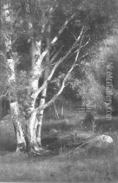 Birch Trees Oil Painting - Benjamin Champney