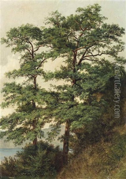 Abhang Mit Zwei Eichen Vor Einem See Oil Painting - Alexandre Calame