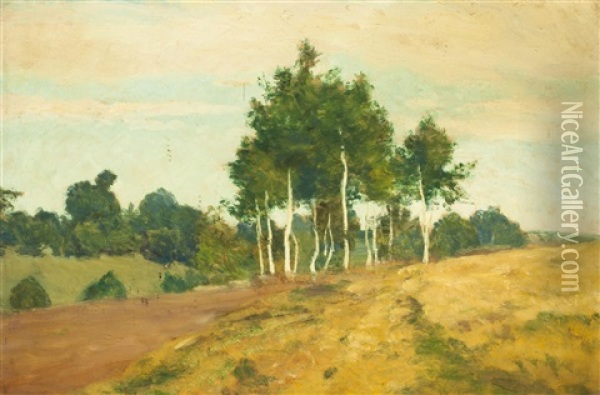 Birken In Der Landschaft Oil Painting - Frantisek Kavan