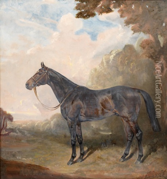 Portrait Of A Hunter Oil Painting - James Lynwood Palmer