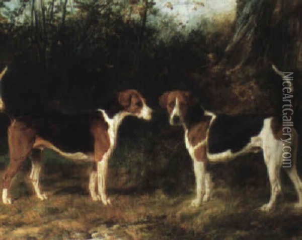 Two Fox Hounds Oil Painting - Thomas Blinks