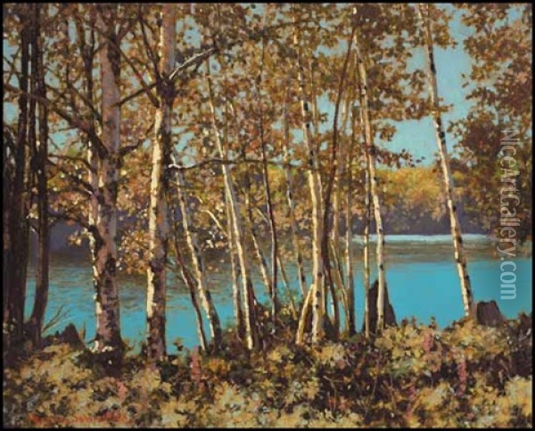 Birch Trees, Northern Ontario Oil Painting - Francis Hans Johnston