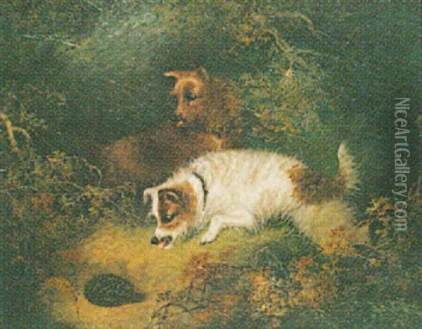 Terriers Ratting Oil Painting - Edward Armfield