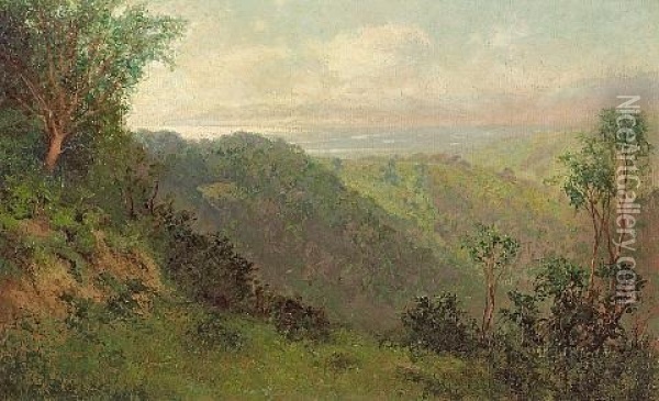 A Swale In Marin Oil Painting - Charles Dorman Robinson