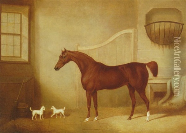 A Chestnut Horse And Two Terriers In A Stable Oil Painting - James Barenger the Younger