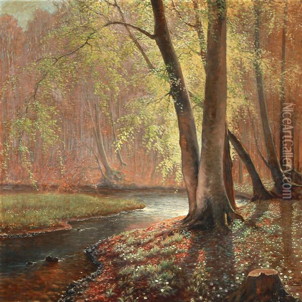 Forest Scene With A Stream Oil Painting - Peter Busch