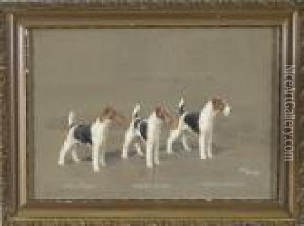 Drei Drahthaarfoxterrier - Ch. 
Epping Extreme, Ch. Crackley Sensation Und Ch. Barrington Bridegroom Oil Painting - Binks, R. Ward