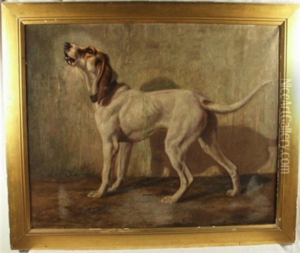The White Hound Oil Painting - Franklin Whiting Rogers