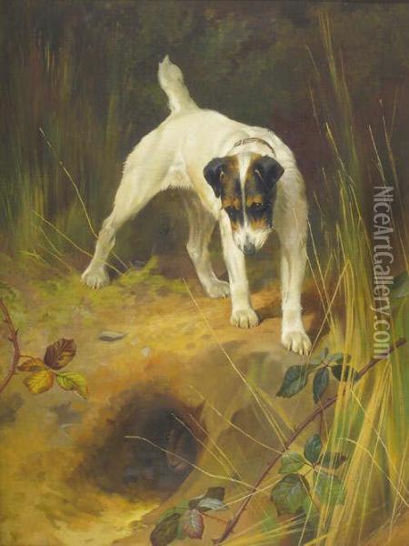 R.i., R.b.c., P.s. Terrier Standing Above A Rabbit Hole Bears A Signature Oil Painting - Arthur Wardle