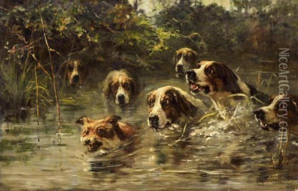 Hounds Chasing A Fox In The Water Oil Painting - John Frederick Ii Hulk